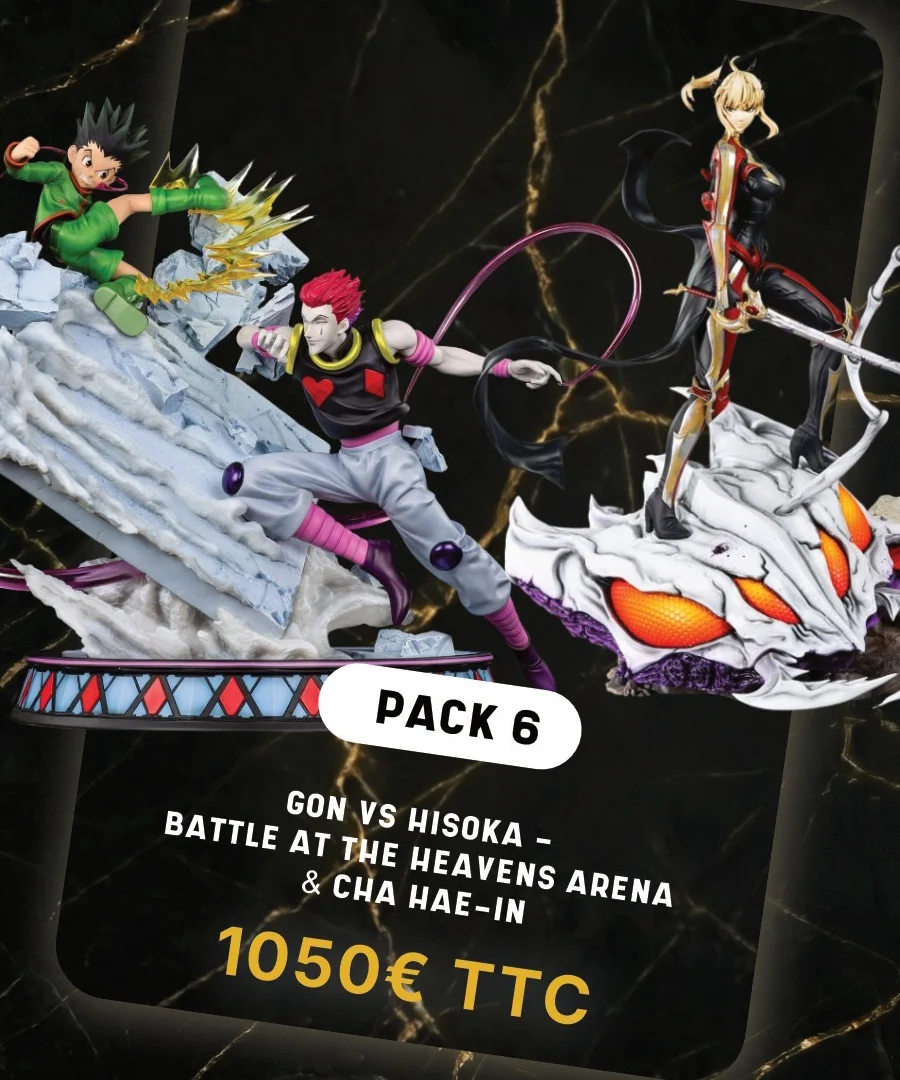 Pack Premium Gon + Cha